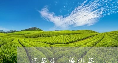 记茶业 普洱茶/2023041073129